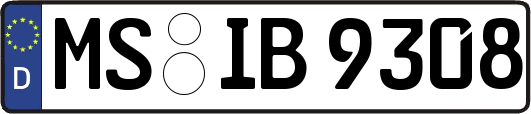 MS-IB9308