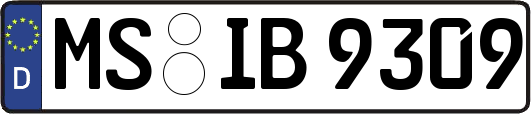 MS-IB9309