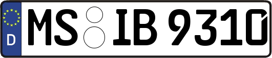 MS-IB9310