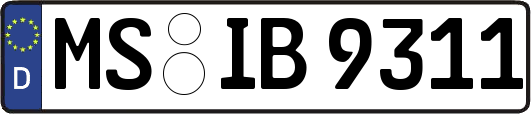 MS-IB9311