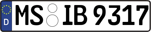 MS-IB9317