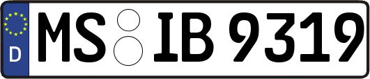 MS-IB9319