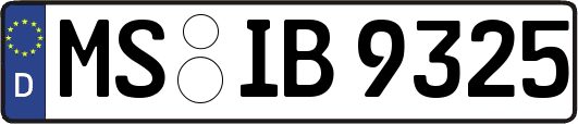 MS-IB9325