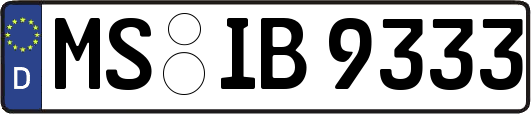 MS-IB9333