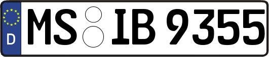 MS-IB9355