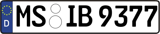 MS-IB9377