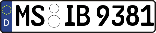 MS-IB9381