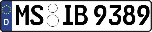 MS-IB9389