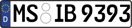MS-IB9393