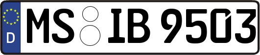 MS-IB9503