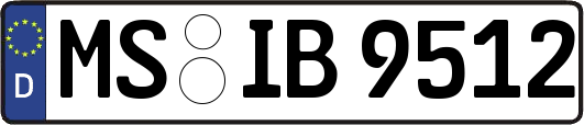 MS-IB9512