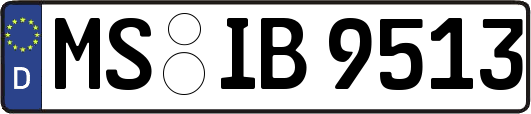 MS-IB9513