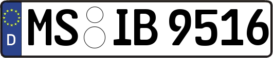 MS-IB9516