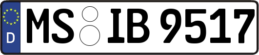 MS-IB9517