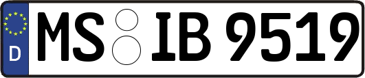 MS-IB9519