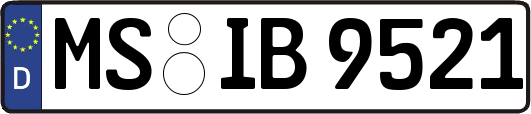 MS-IB9521