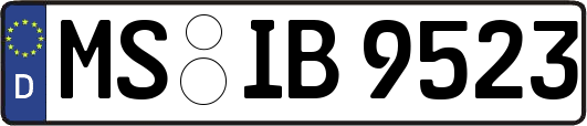 MS-IB9523