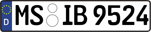 MS-IB9524
