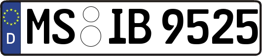 MS-IB9525