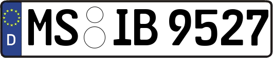 MS-IB9527