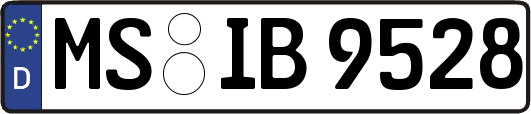 MS-IB9528
