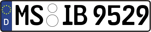 MS-IB9529