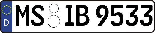 MS-IB9533
