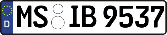 MS-IB9537