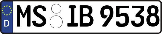 MS-IB9538