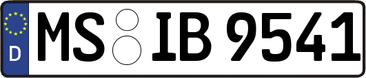 MS-IB9541