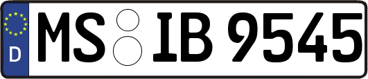 MS-IB9545