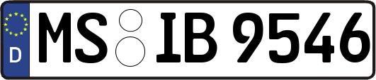 MS-IB9546