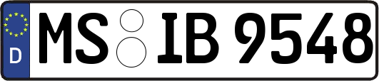 MS-IB9548