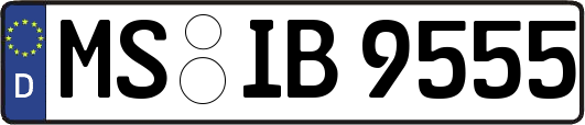 MS-IB9555