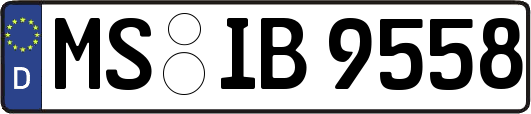 MS-IB9558