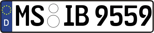MS-IB9559