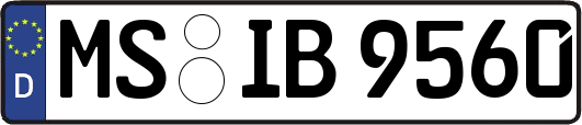 MS-IB9560