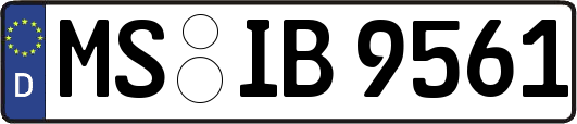 MS-IB9561