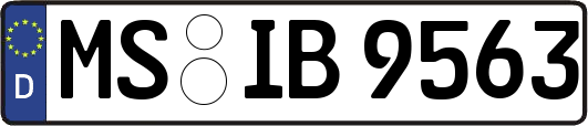 MS-IB9563