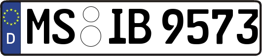 MS-IB9573