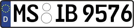 MS-IB9576