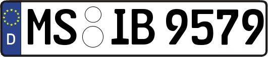 MS-IB9579