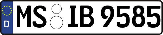 MS-IB9585