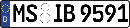 MS-IB9591