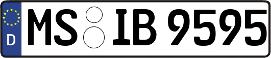 MS-IB9595