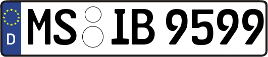 MS-IB9599