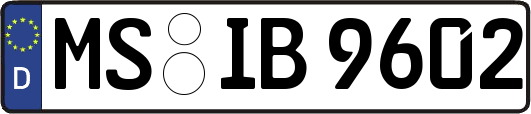 MS-IB9602