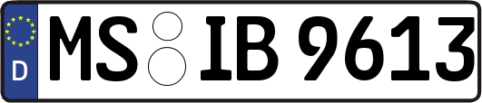 MS-IB9613