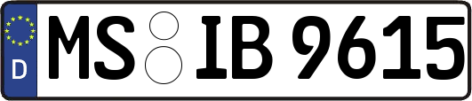 MS-IB9615
