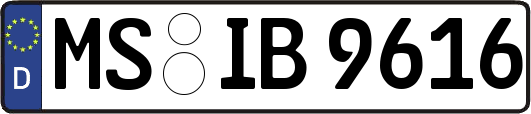 MS-IB9616